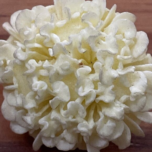 Vintage Pale Yellow Flower Clip Earrings Plastic 1950-1960s - Picture 5 of 6
